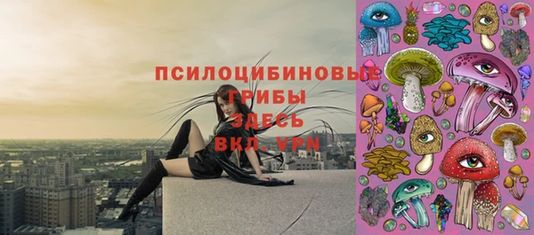 винт Белоозёрский