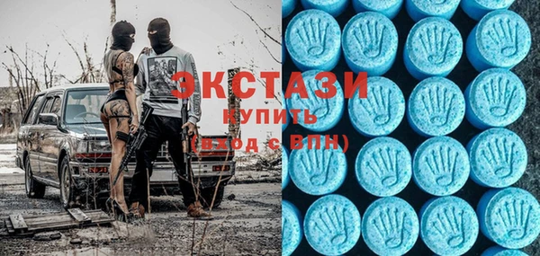 ECSTASY Богданович