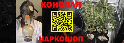 спайс Гусь-Хрустальный