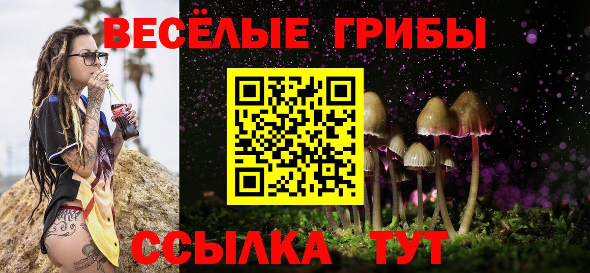 Вязники  Псилоцибиновые грибы мицелий  Галлюциногенные грибы мухоморы  Вход с VPN 