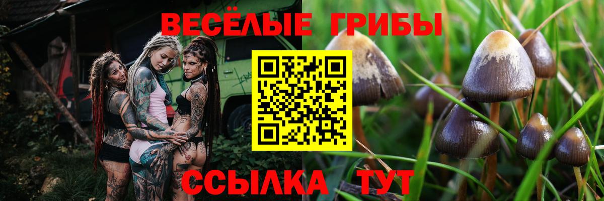 Галлюциногенные грибы мухоморы Вязники