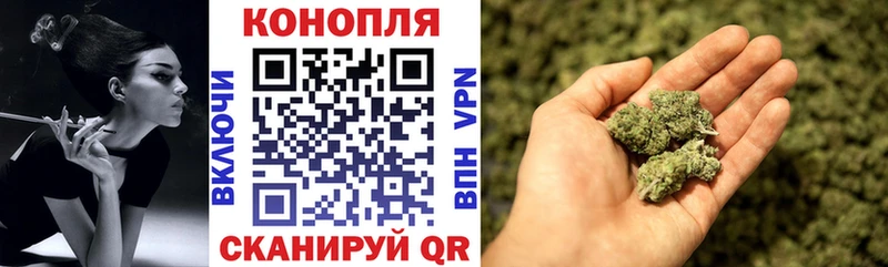 цена наркотик  darknet официальный сайт  Бошки марихуана план  Вязники 